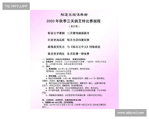 赛事点评、赛事点评稿